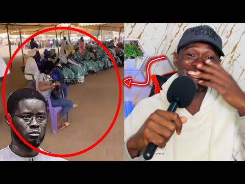 moussa officiel and Moussa officiel 2.0