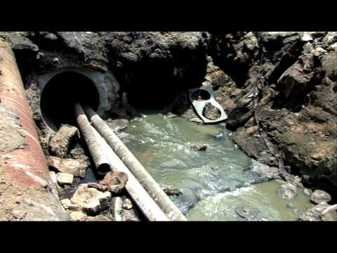 download lagu mp3 mp4 Fish Meal, download lagu Fish Meal gratis, unduh video klip Fish Meal