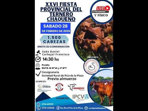 XXVI FIESTA PROVINCIAL DEL TERNERO CHAQUEÑO SOC. RURAL DE PCIA DE LA PLAZA - CHACO