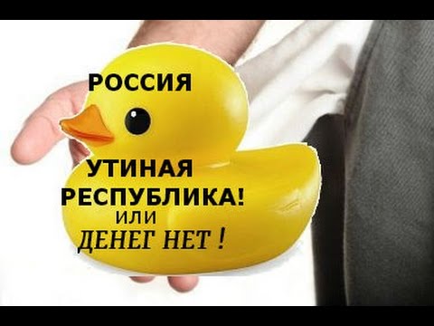 РОССИЯ -утиная республика