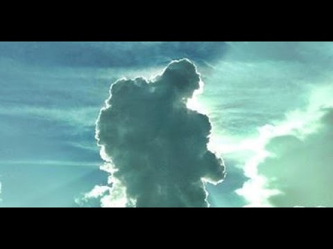 DEELU$IONAL - Gave Me A Sign