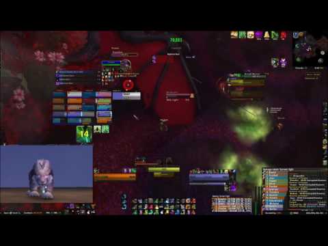Solution Emerald Nightmare - Mythic Dragons of Nightmare  - Resto Druid