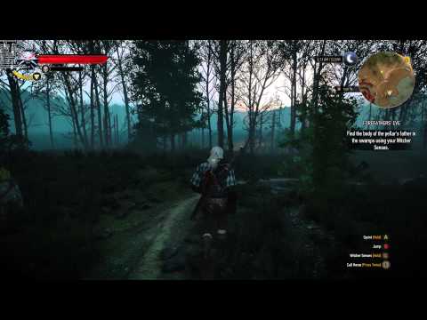 The Witcher 3 ForeFathers Eve Mission 4k