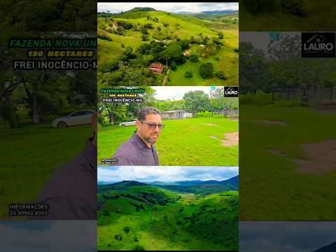 ✨️FAZENDA NOVA UNIÃO✨️ oportunidade produção de pecuária leiteira e de engorda excelente pra café