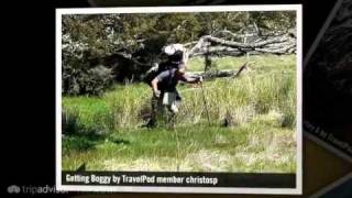 preview picture of video 'Rees-Dart & Routeburn Tramp - Day 259-266 Christosp's photos around Glenorchy, New Zealand'