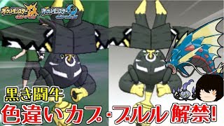 カプ ブルル ポケットモンスター ヨノワール レジスチル マケンカニ