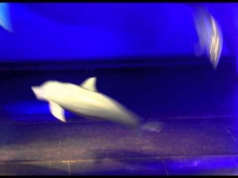 Liquid Sound Volume 3 (compiled by DJ Nartak) - Trailer