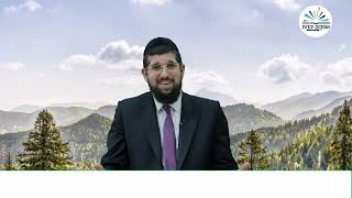 גילויים חדשים על רות ועורפה | מגילת רות | פרק א - 3 | הרב אליהו עמר (הרב אליהו עמר) - התמונה מוצגת ישירות מתוך אתר האינטרנט יוטיוב. זכויות היוצרים בתמונה שייכות ליוצרה. קישור קרדיט למקור התוכן נמצא בתוך דף הסרטון גילויים חדשים על רות ועורפה | מגילת רות | פרק א - 3 | הרב אליהו עמר (הרב אליהו עמר) - התמונה מוצגת ישירות מתוך אתר האינטרנט יוטיוב. זכויות היוצרים בתמונה שייכות ליוצרה. קישור קרדיט למקור התוכן נמצא בתוך דף הסרטון