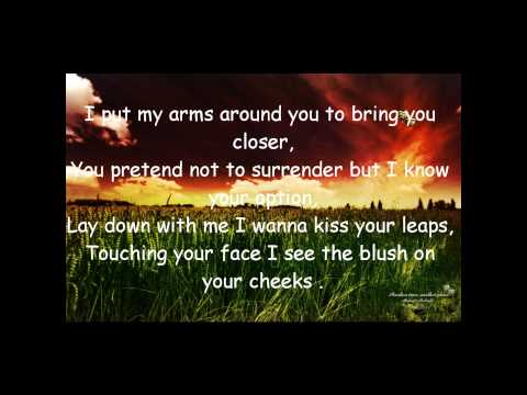 Pitt Leffer   no lies lyrics