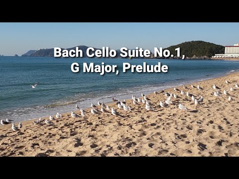 Bach Cello Suite No.1 G Major, Prelude - Classical Cello Music