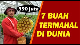 Download lagu 7 BUAH TERMAHAL DI DUNIA, ADA YANG MENCAPAI HARGA 390 JUTA mp3
