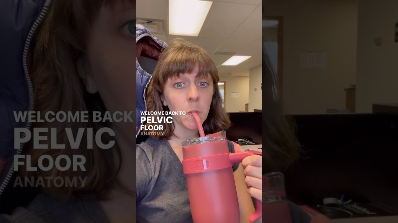 Welcome back to another episode of Pelvic Floor Anatomy Lab 💦 #urinaryhealth #pelvichealth