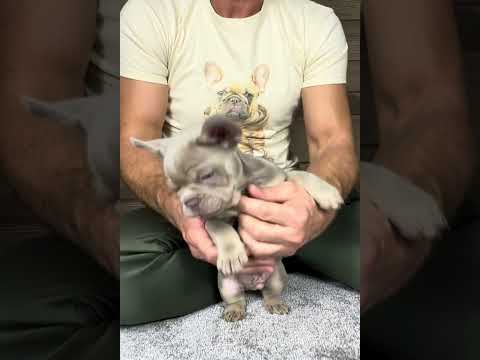 Video 3