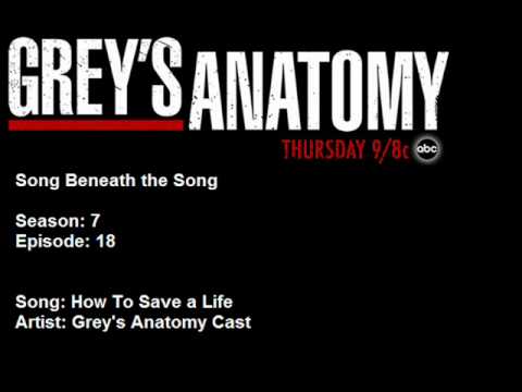 718 Grey's Anatomy Cast - How To Save a Life