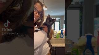 Download lagu Cara Menghilangkan Kutu Kucing dengan Aman di Rumah mp3 Download lagu Cara Menghilangkan Kutu Kucing dengan Aman di Rumah mp3
