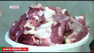 Сибирская язва стала предметом новых сплетен среди жителей Чечни