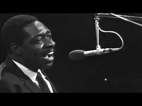 Muddy Waters ft. Otis Spann - Cold Cold Feeling (1968)