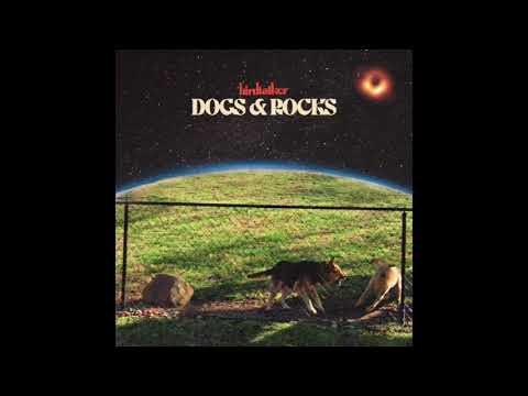 Dogs And Rocks - Birdtalker