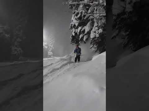 #nordica #sochi2023 #skiing