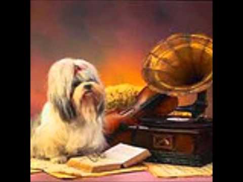 Heel De Wereld Kun Je Kopen -Imca Marina