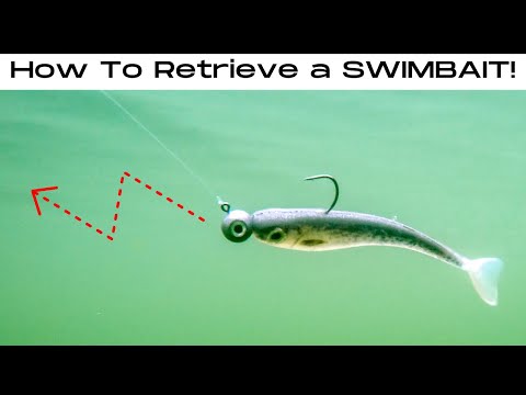 5 SWIMBAIT Retrieves That ALWAYS Get BITES!