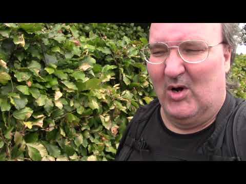 MongoTV_1267 - Del 1 - Min Søndagsgåtur Til Furesøen