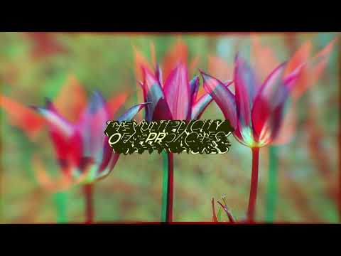 The multiplicity of approaches - Le hollandais