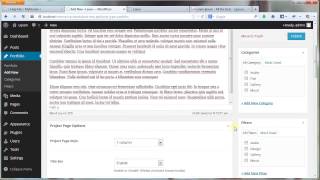 Lexon(wp theme) - Add Portfolio Item