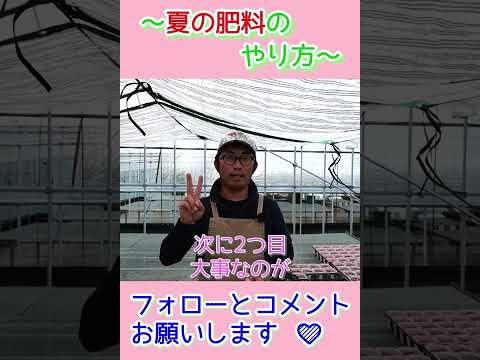 庭に肥料をいつ入れるか