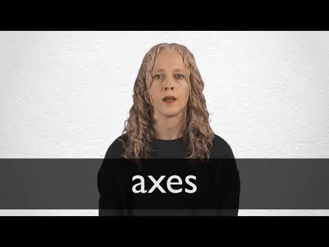 Axes 释义 柯林斯英语词典