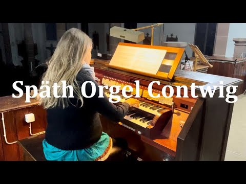 Johann Caspar Ferdinand Fischer Praeludium in A Späth Orgel Contwig Pfalz #vlog