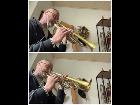Transposing with the trumpet