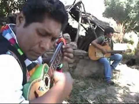 Jiramaycus Miguel Angel - Picaflorcita