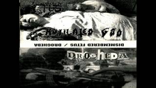 Dismembered Fetus / Drogheda - split CS FULL ALBUM (1997 - Grindcore / Deathgrind)