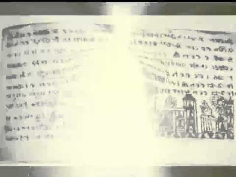 Omu Gnom - de la sine