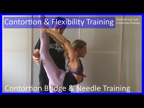 18 Frederick van Laak Contortion: Bridge & Needle Training - Also for Yoga, Pole, Ballet, Dance Pepl