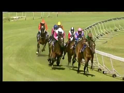 2016.12.03 Green Point Stakes (RSA) - Legal Eagle