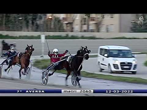 Aversa trotto 12 Marzo 2022 - 7° Corsa