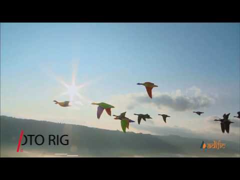 Rotoscopy - Viral Marketing Hub