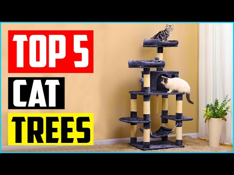 Top 5 Best Cat Trees for Multiple Cats of 2021 Review