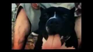 C Kan Ft Togwy   Somos De Barrio   REMIX   Official Video