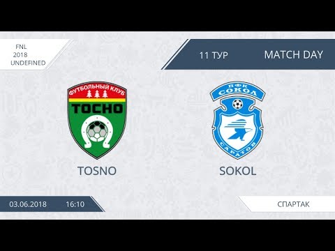 AFL18. Russia. FNL. Day 11. Tosno - Sokol