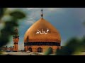 13 Rajab Coming Soon Status Wiladate Mola Ali Status 13 Rajab Status 2025 Yaali 13rajabstatus