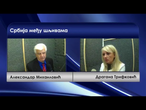 Srbija među šljivama 23.10.2017. - gost Dragana Trifković - Rezervni plan Rusije za KiM? (video)