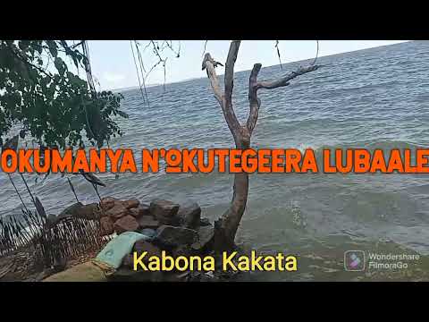 Okumanya nokutegeera Lubaale