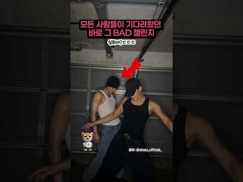 모든 사람들이 기다려왔던 바로 그 BAD 챌린지