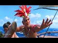 Moana Tamil Song 3 In Tamil