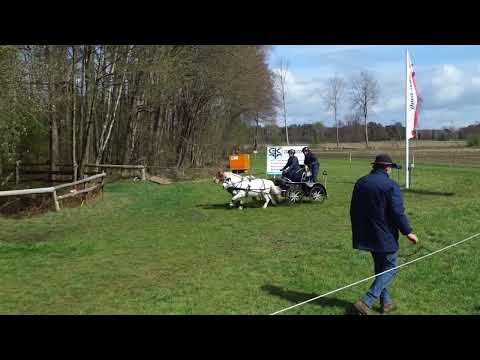 Fahrturnier Greffen 10.4.2022