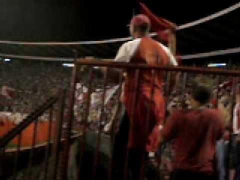 Crvena zvezda-sever-divljaci