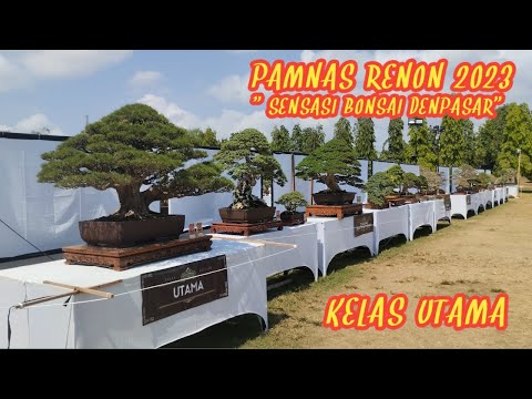 INSPIRASI BONSAI KELAS UTAMA | PAMNAS DENPASAR RENON 2023